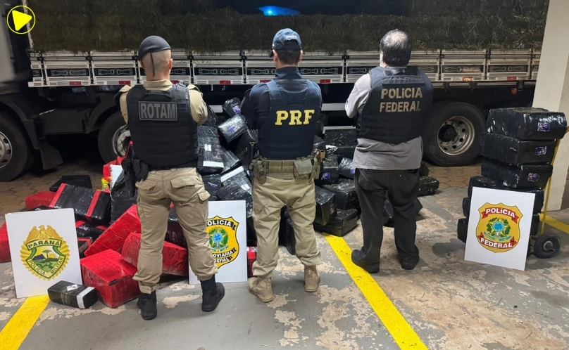 Quase 4 toneladas de maconha são apreendidas em caminhão na BR-369