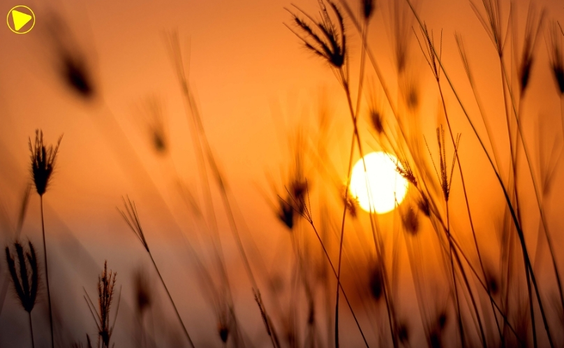 Sábado terá sol e temperaturas de até 35°C no Paraná