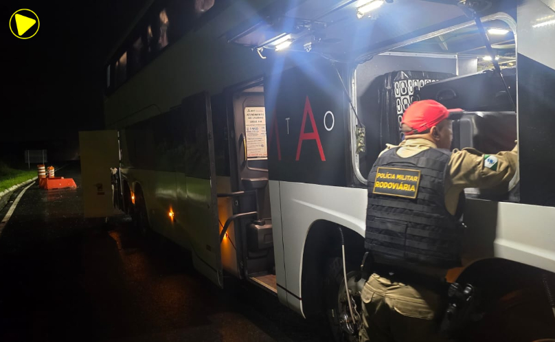 Cães farejadores localizam skunk em ônibus na PR-151