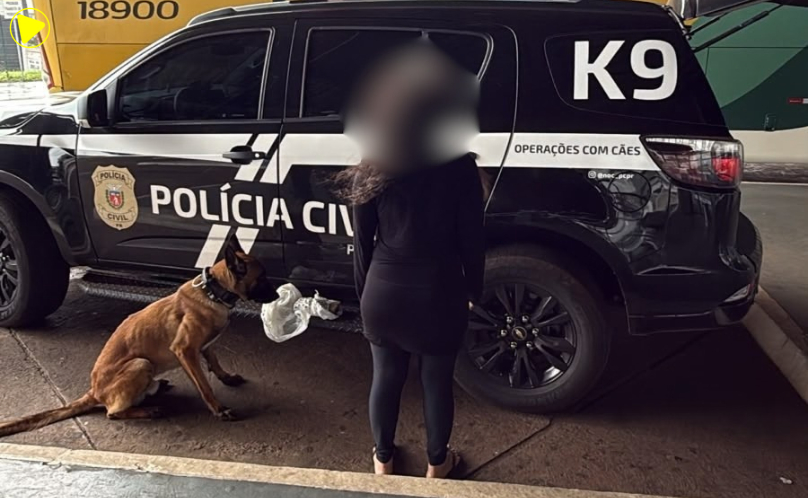 Mulher é detida com maconha na Rodoviária de Cascavel