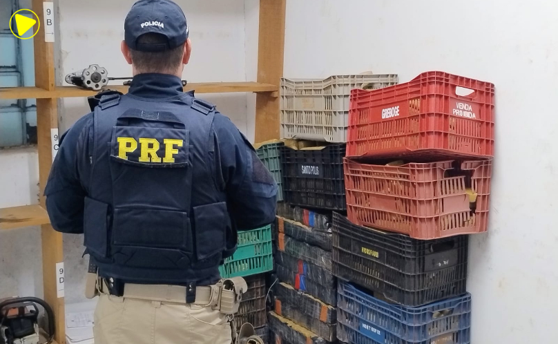 FICCO/PR apreende quase 400 kg de maconha na BR-277