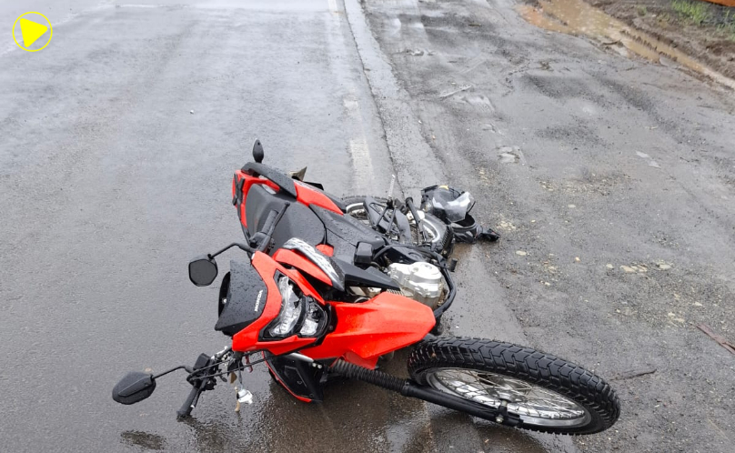 Motociclista de 22 anos morre após bater contra cavalo na PR-239