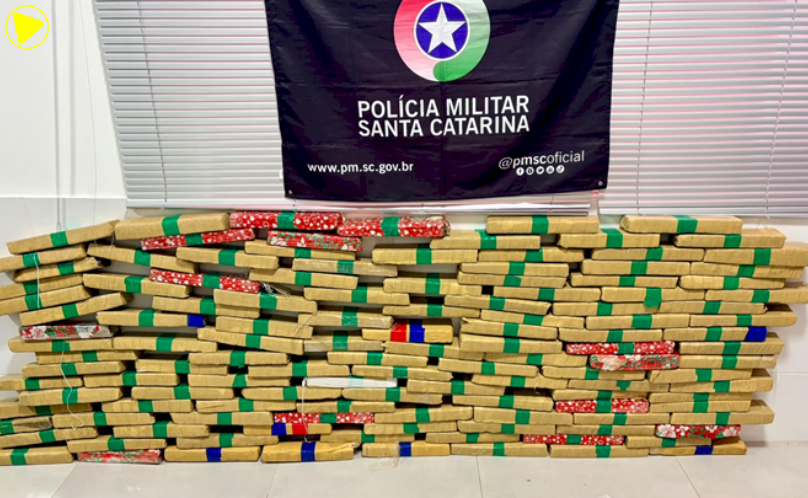Mais de 103 kg de maconha são apreendidos na SC-157