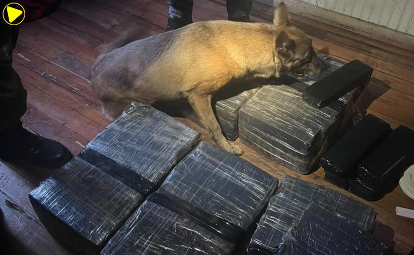 PCPR prende oito pessoas e apreende mais de 120 kg de drogas