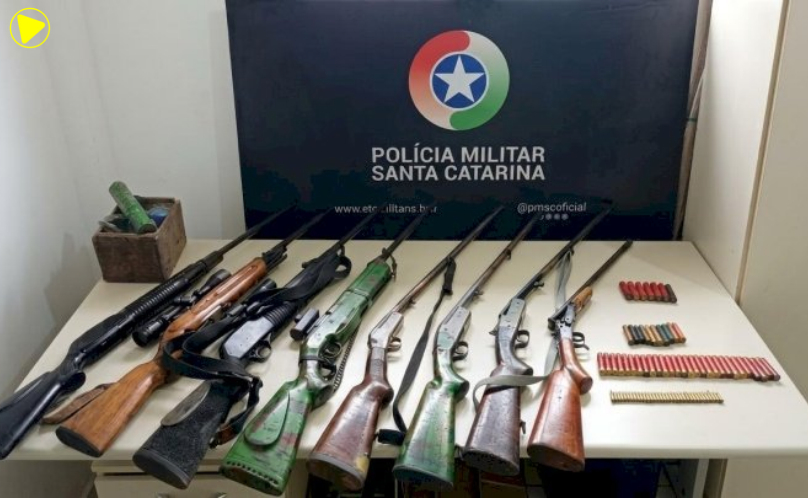 Polícia apreende cinco armas de fogo após denúncia de ameaças contra ex-companheira