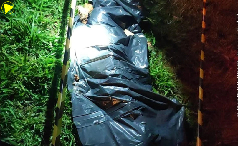 Pedestre morre após ser atropelado na PR-151
