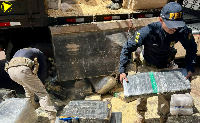 PRF apreende 2,6 toneladas de maconha escondidas em carga de maravalha
