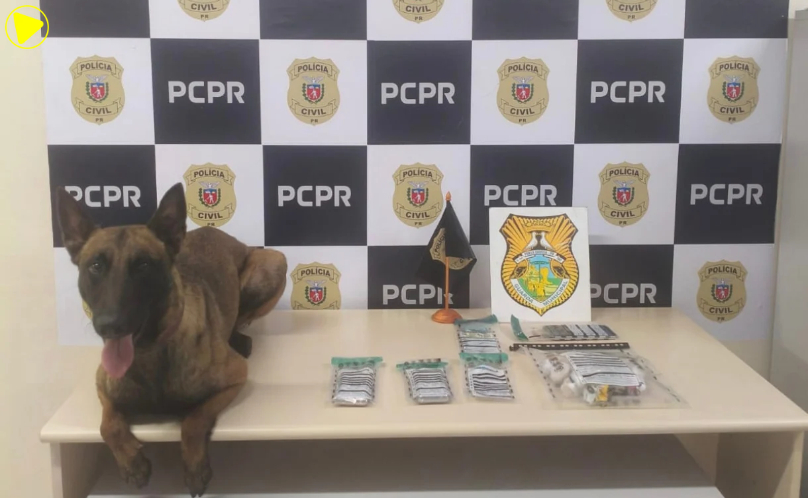 Polícia Civil e GCM apreendem 400 gramas de crack em condomínio