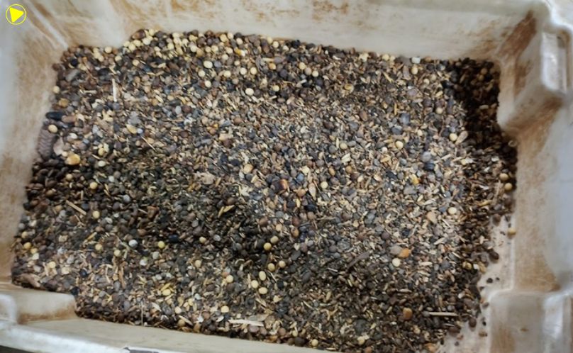 Carga de soja adulterada é apreendida pela Polícia Federal