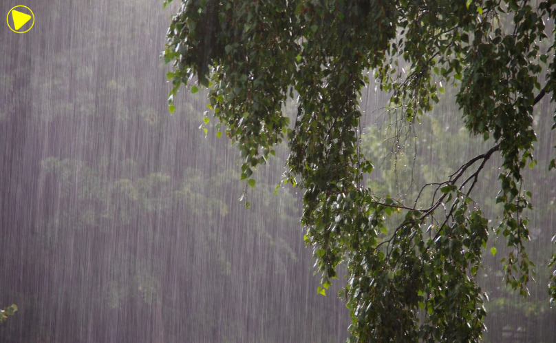 Simepar prevê chuva e trovoadas no Paraná nesta quinta-feira