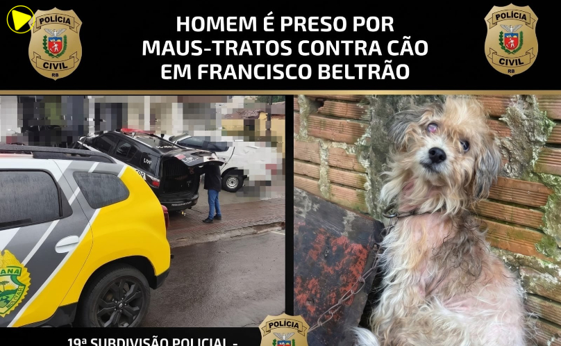 Homem é preso por maus-tratos contra cachorro em Francisco Beltrão