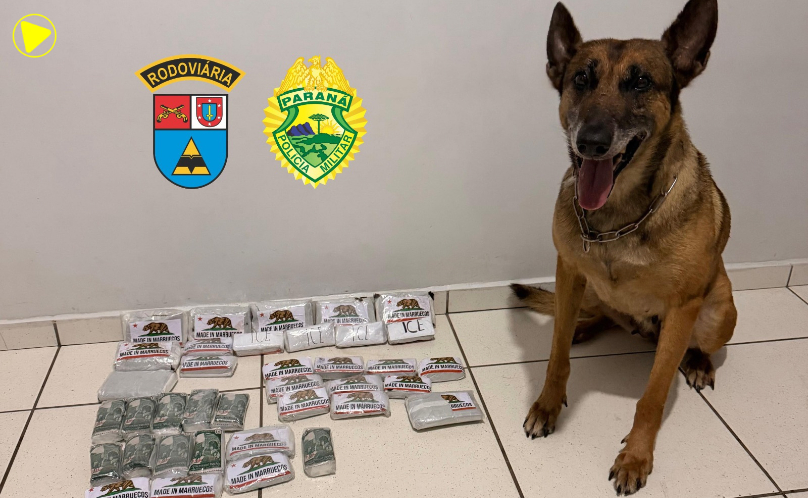 BPRv apreende mais de 5 kg de haxixe e detém três pessoas