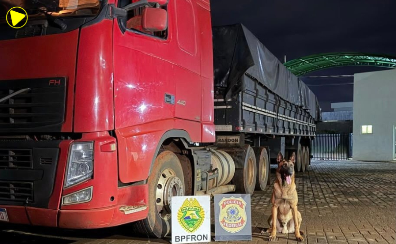 SAS: BPFRON e PF apreendem carreta com 10.800 garrafas de vinho