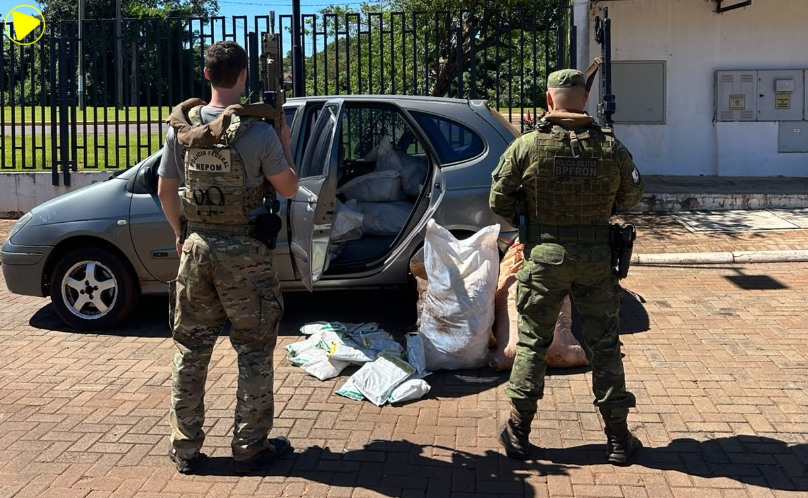 BPFRON e Polícia Federal apreendem 300 pacotes de agrotóxicos paraguaios