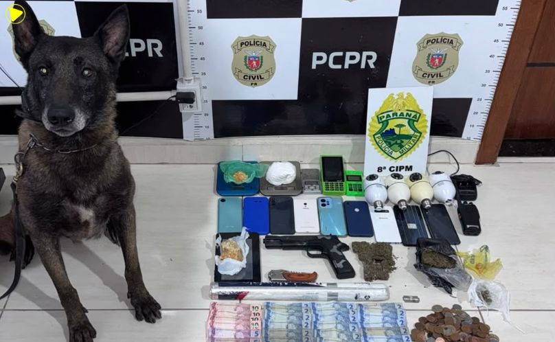 Operação Hydra prende quatro pessoas suspeitas de tráfico de drogas