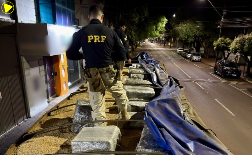 PRF apreende 1,7 tonelada de maconha escondida em carga de soja no Paraná