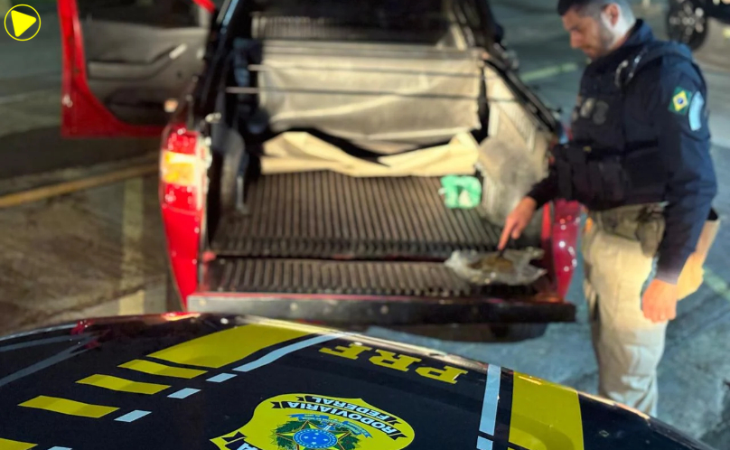 PRF recupera caminhonete clonada com alerta de furto e apreende maconha
