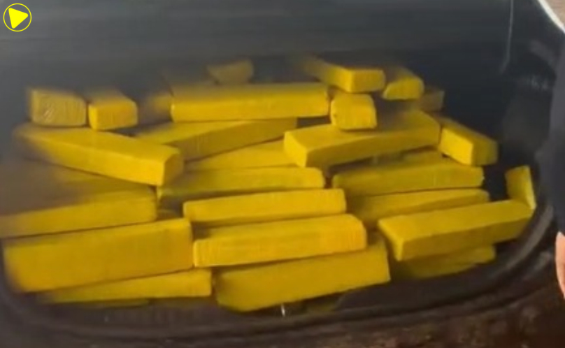 PRF e DENARC apreendem 550 kg de maconha após perseguição na BR-277
