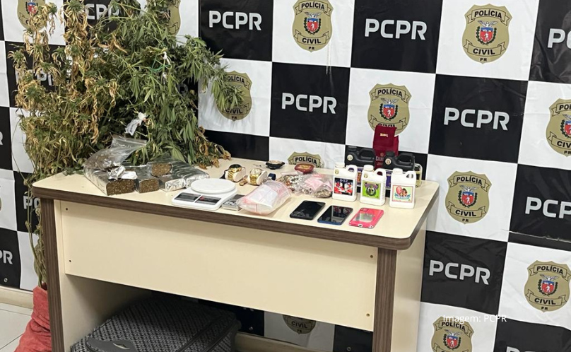 PCPR descobre estufa de maconha e recupera joias furtadas, um masculino foi preso