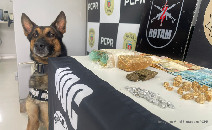 PCPR e PMPR prendem quatro pessoas durante operação em Palmas
