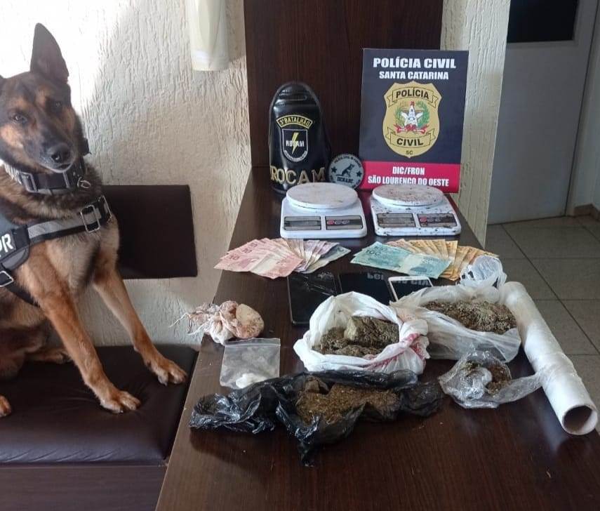 Policias militares e civis do Paraná e Santa Catarina resultam na apreensão de maconha e cocaína 