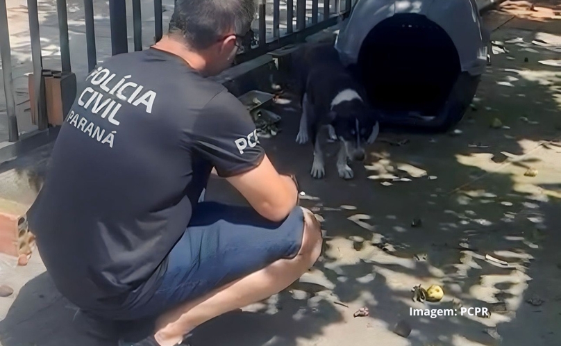 PCPR prende masculino por maus-tratos em Matinhos