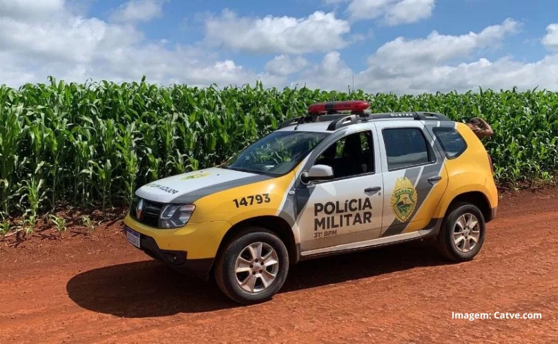 Helicóptero e viaturas da PM buscam por assaltantes na BR-369