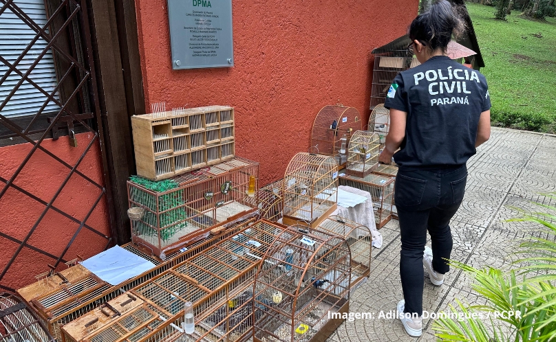 PCPR apreende 390 animais em megaoperação contra rede de tráfico internacional