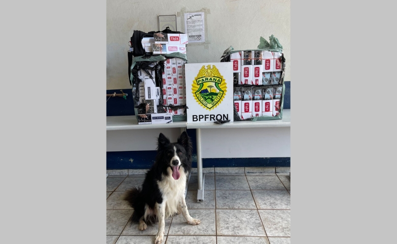 BPFRON apreende cigarros contrabandeados em ônibus em Cascavel