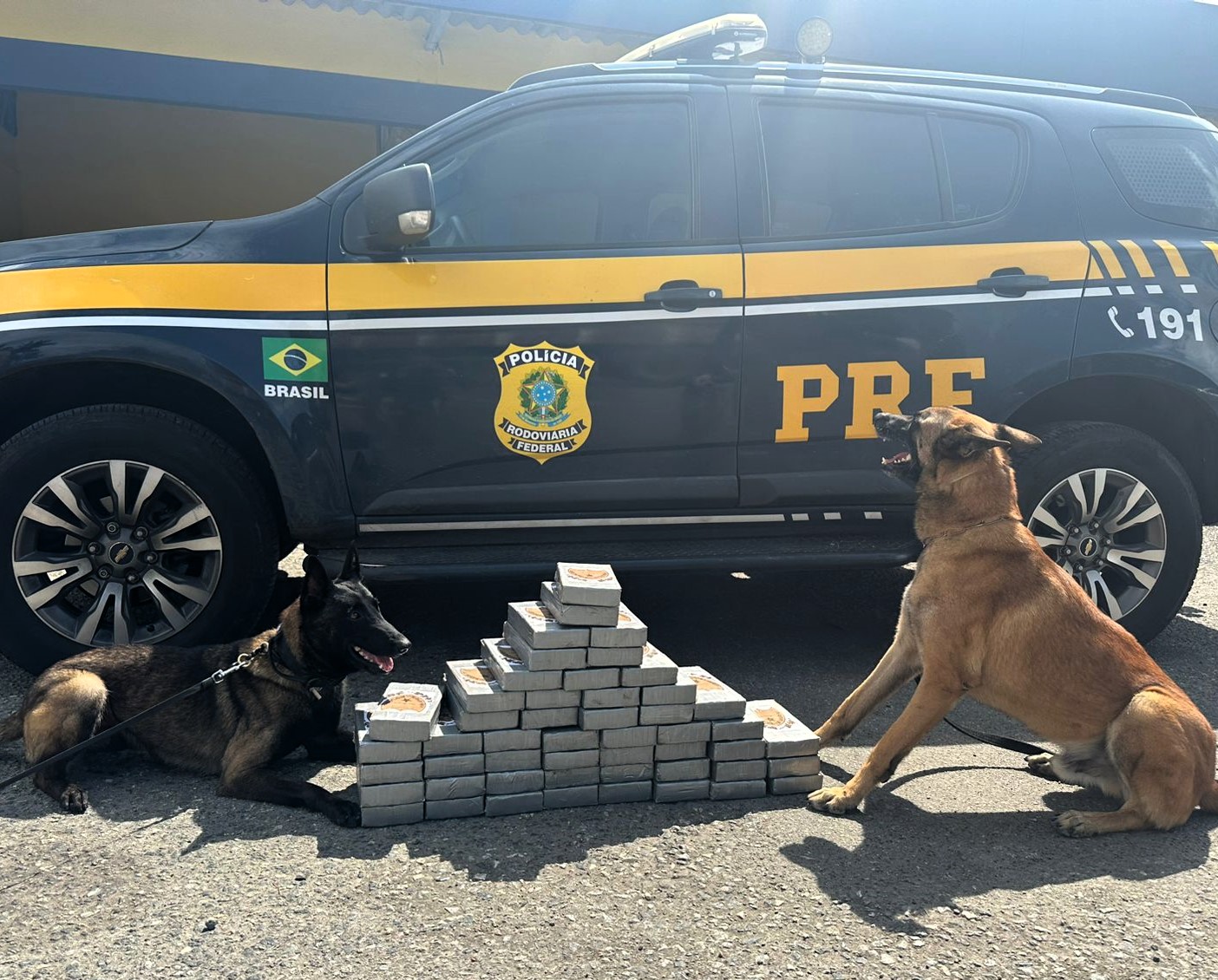 Homem foge da fiscalização da PRF no Paraná e é preso com cocaína em Santa Catarina