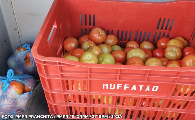 Furto Registrado em Pranchita: 20kg de Tomates Recuperados