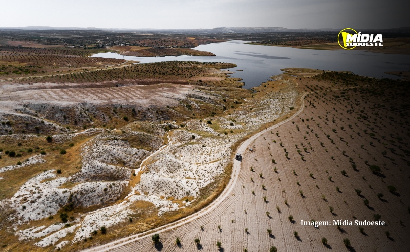 Dia do Meio Ambiente destaca ações de enfrentamento à desertificação