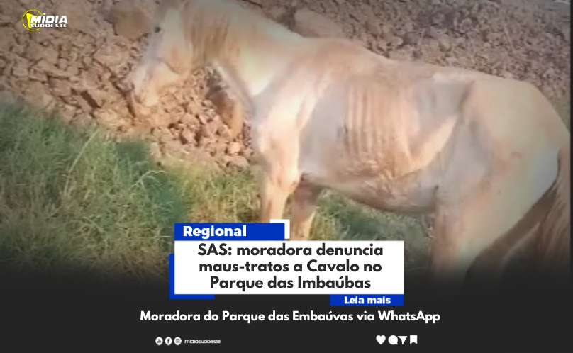 SAS: moradora denuncia maus-tratos a Cavalo no Parque das Imbaúbas