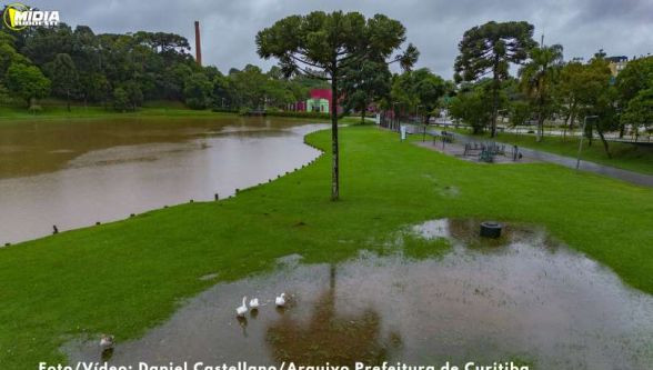 Descrição da imagem