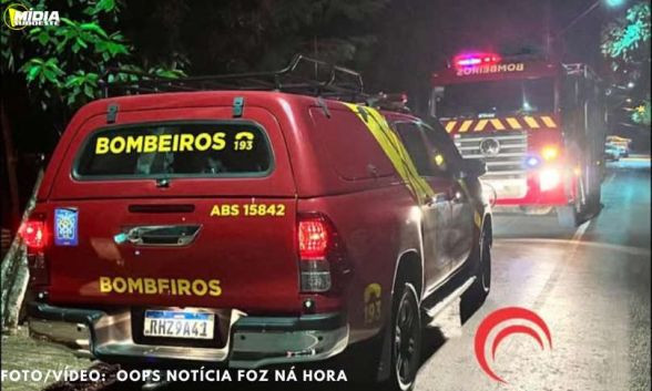 Descrição da imagem